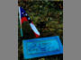 Capt. William T. Bond