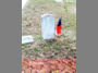 Pvt. Alexander Brown