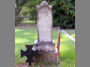 Private Franis Marion Scott