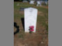Marshall L. Siler