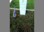 Pvt. Alexander McDonald