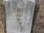 N. H. Allen