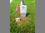 Pvt. John H. Rasberry