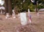 Unknown Soldier